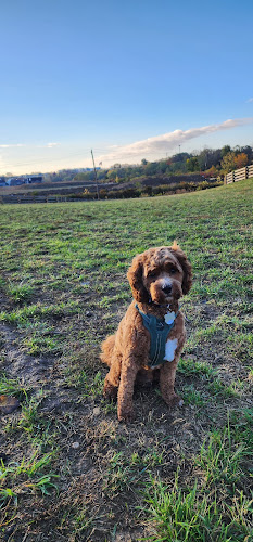 Quarry Trails Dog Park