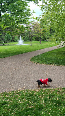 Schiller Park