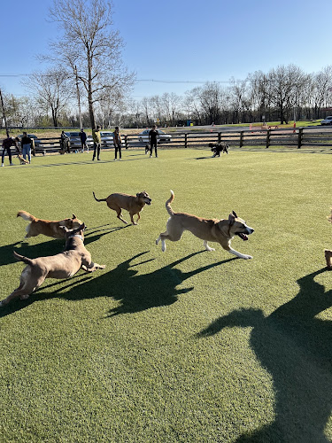 Scioto Audubon Dog Park