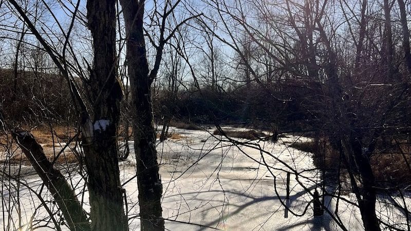 Three Creeks Park Dog Park - Columbus, OH