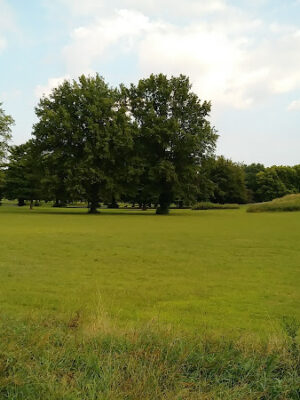 Walnut Hill Park