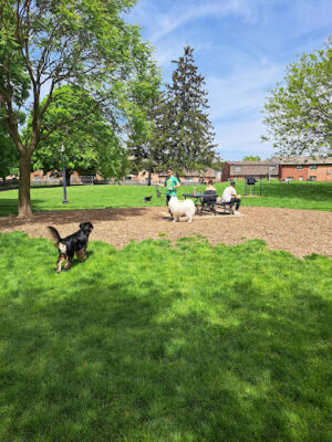 Wheeler Memorial Park