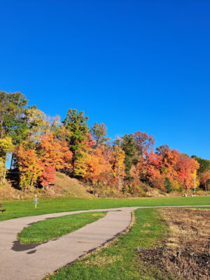 Whitehall Community Park