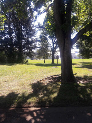 Willis Park
