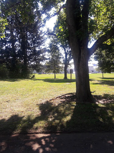 Willis Park