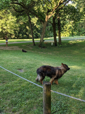 Wolfe Park