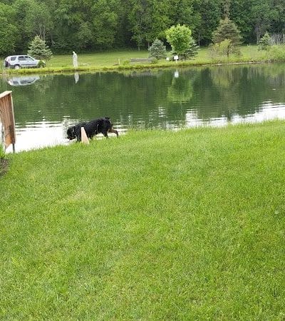 Conneaut Lake Bark Park - Conneaut Lake, PA