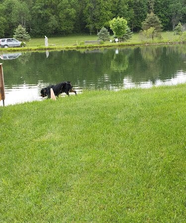 Conneaut Lake Bark Park