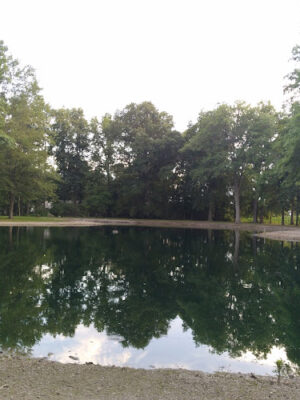 Edgewood Park
