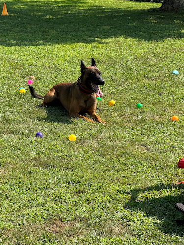 Conley's K9 Center
