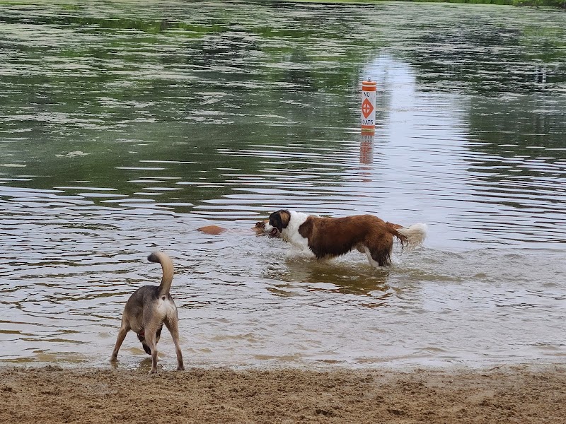 Cooperation Station Dog Park - Cortland, OH