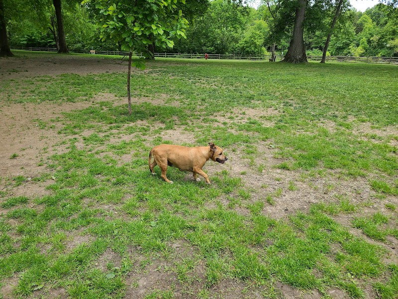 Cooperation Station Dog Park - Cortland, OH