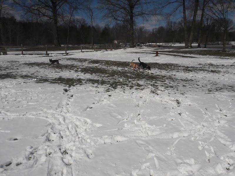 Cooperation Station Dog Park - Cortland, OH