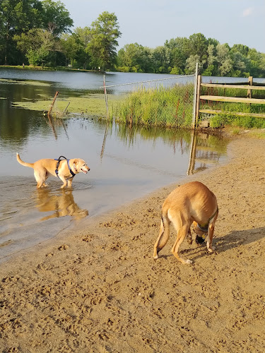 Cooperation Station Dog Park - Cortland, OH