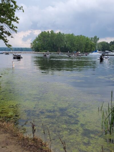 Mosquito Creek Lake - Cortland, OH