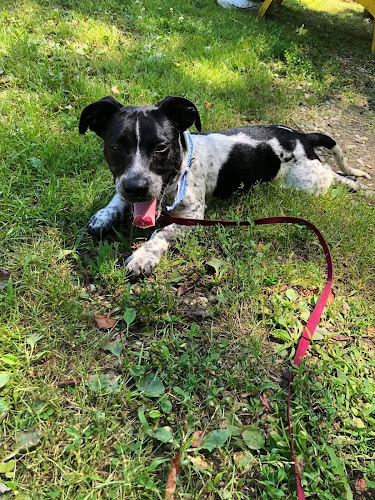 Coshocton County Animal Shelter & HATA