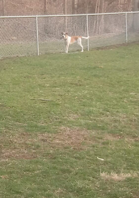 Coshocton Recreation Department