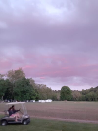 Shady Grove - Coshocton, OH