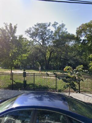 Kenney Shield’s Dog Park