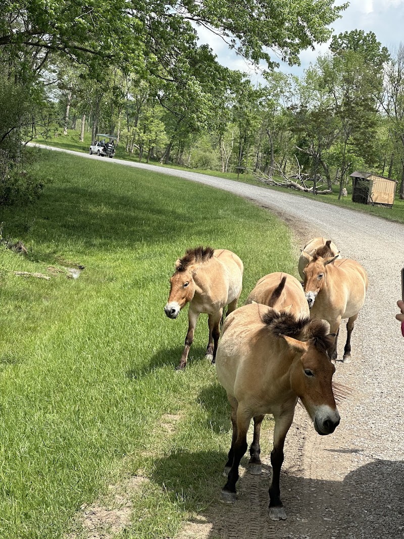 The Wilds - Cumberland, OH