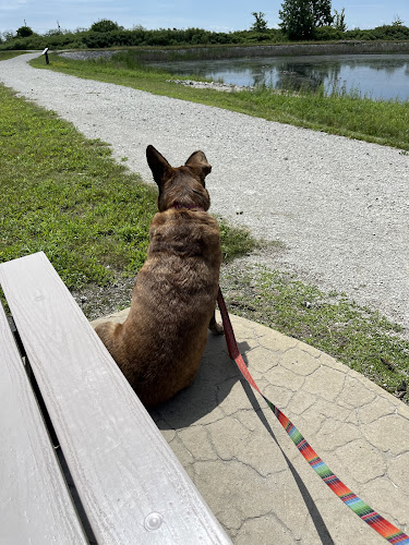 Howard Marsh Metropark