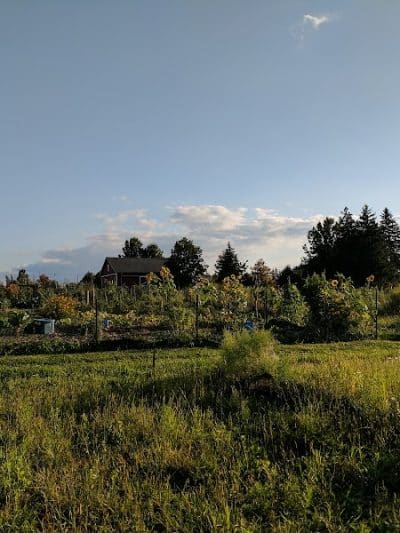 Keyser Park - Cuyahoga Falls, OH