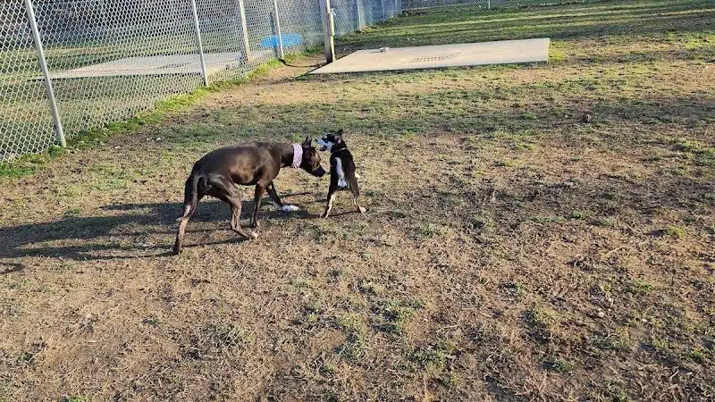 Water Works Dog Park - Cuyahoga Falls, OH