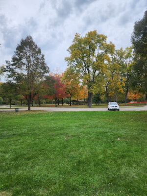 Water Works Dog Park