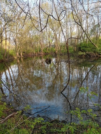 Water Works Dog Park - Cuyahoga Falls, OH