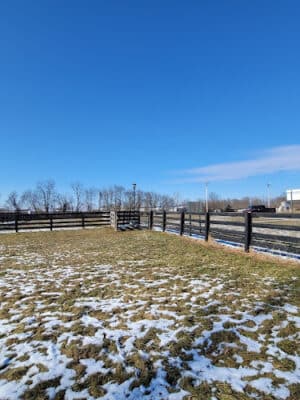 Cynthiana Dog Park