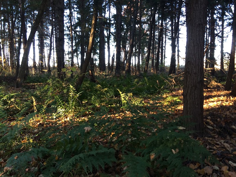 Evergreen Park, Kidron Park - Dalton, OH