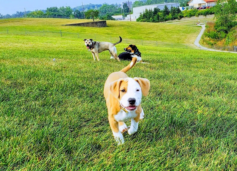 Bark Park Offleash - Dayton, OH