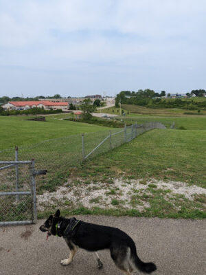 Bark Park Offleash