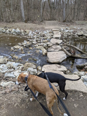 Bill Yeck Park