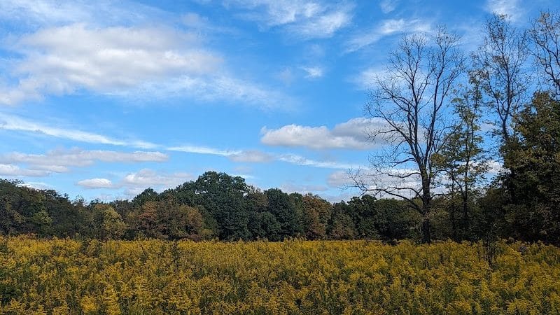 Bill Yeck Park - Dayton, OH