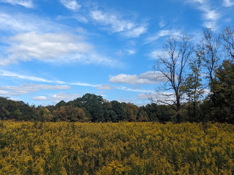 Bill Yeck Park - Dayton, OH