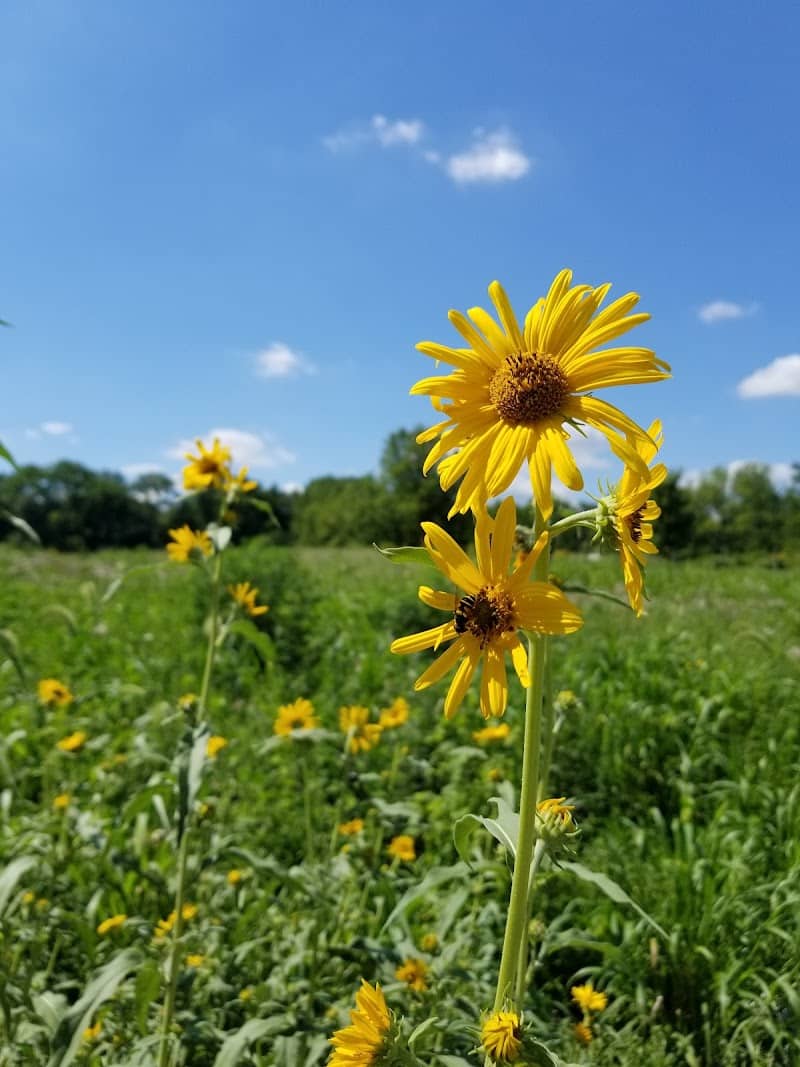 Bill Yeck Park - Dayton, OH