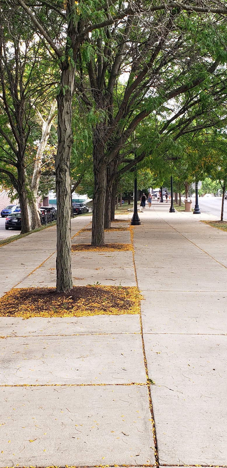 Canal Walk - Dayton, OH