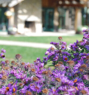 Cox Arboretum MetroPark