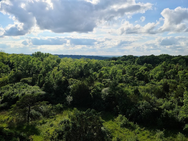 Cox Arboretum MetroPark - Dayton, OH
