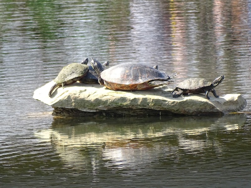 Cox Arboretum MetroPark - Dayton, OH