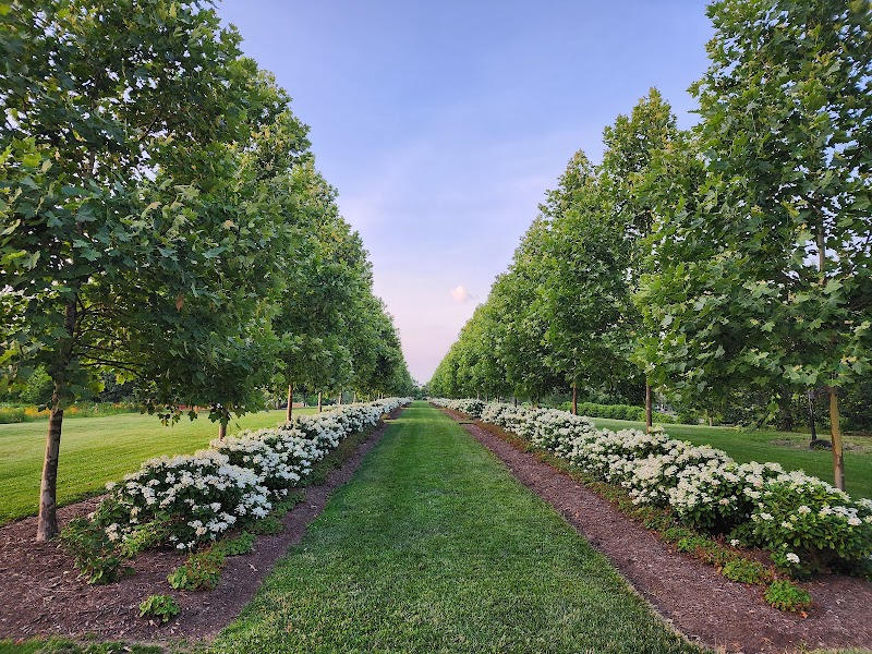 Cox Arboretum MetroPark - Dayton, OH