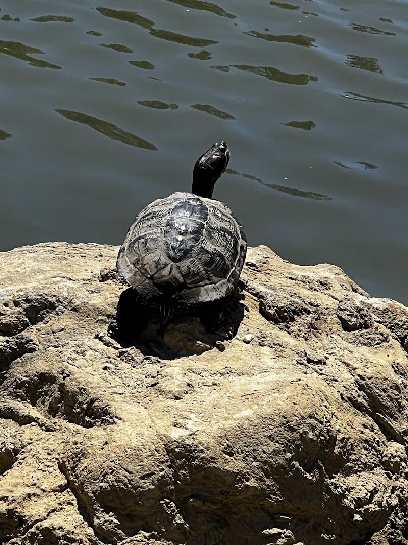 Cox Arboretum MetroPark Picnic Area - Dayton, OH