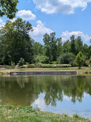 Cox Arboretum MetroPark Picnic Area