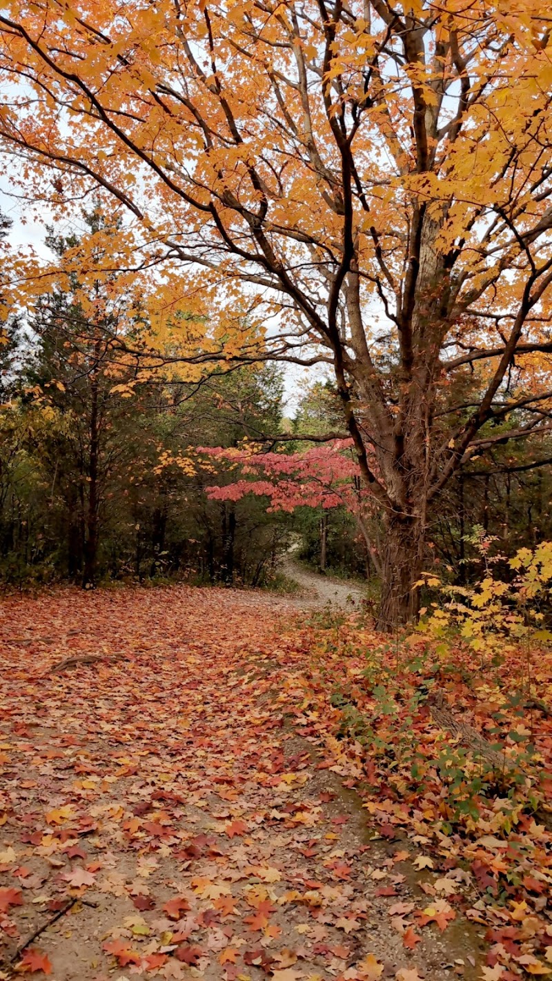 Cox Arboretum MetroPark Picnic Area - Dayton, OH