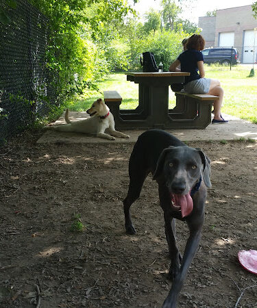 Creager Field Dog Park