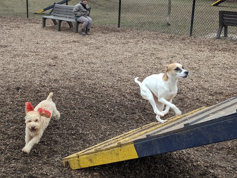 Creager Field Dog Park - Dayton, OH