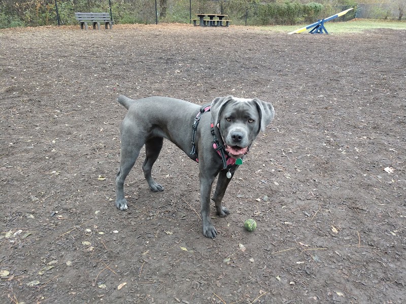 Creager Field Dog Park - Dayton, OH