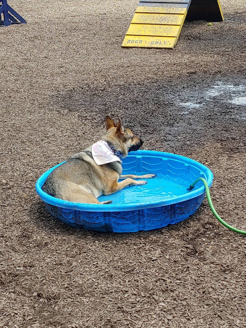 Creager Field Dog Park - Dayton, OH