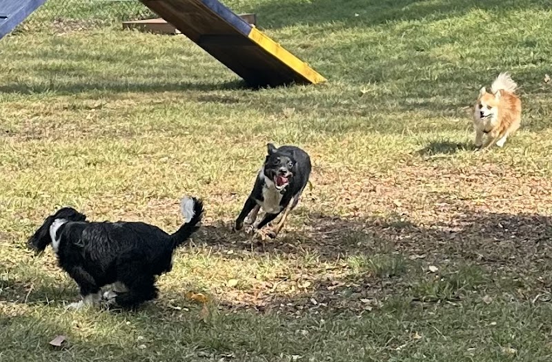 Creager Field Dog Park - Dayton, OH